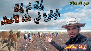 إستراتيجية زراعة البطاطس بالمغرب تطورات في عالم الفلاحة
