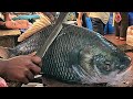 #AmazingMan Cutting | Big CATLA CARP FISH Cutting In Fish Market | Fish Cutting Skills