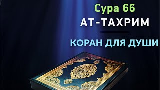 Сура 66 ат Тахрим - красивое медленное чтение Корана для успокоения души и сердца