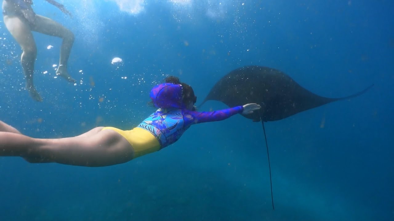 Sensational Scuba Diving Music and Video to Inspire Your Dive 스쿠버 다이빙