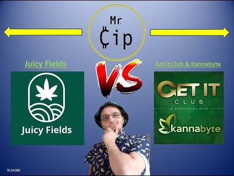 JUICY FIELDS vs GET IT CLUB - QUALE PREFERITE?