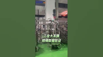 Industrial Large-Scale Fermentation Scale Data Verification #fermenter #bioreactor #centrifuge