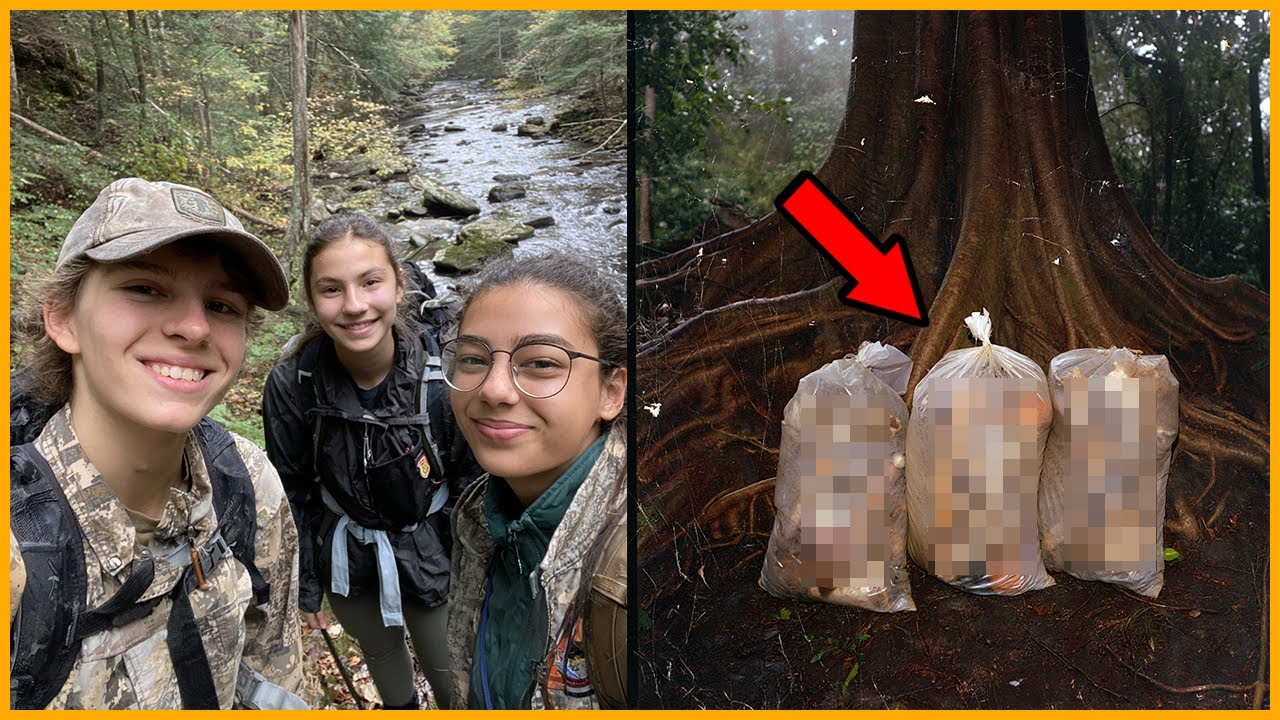 Подростки Пропали во время Похода — через 3 года в Мешках под Корнями Дерева найдена находка...