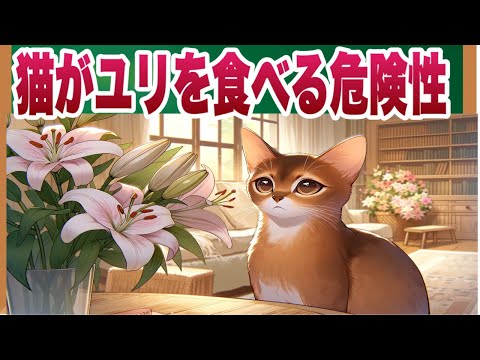 ユリの花粉で猫が死ぬ？ほんの一粒の危険と猫を守るために知っておきたい真実