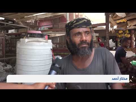 شباب أبين يتجاوزون البطالة بمشاريع صغيرة