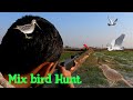 Air gun hunting bird indian bablar hunting mz bird hunting