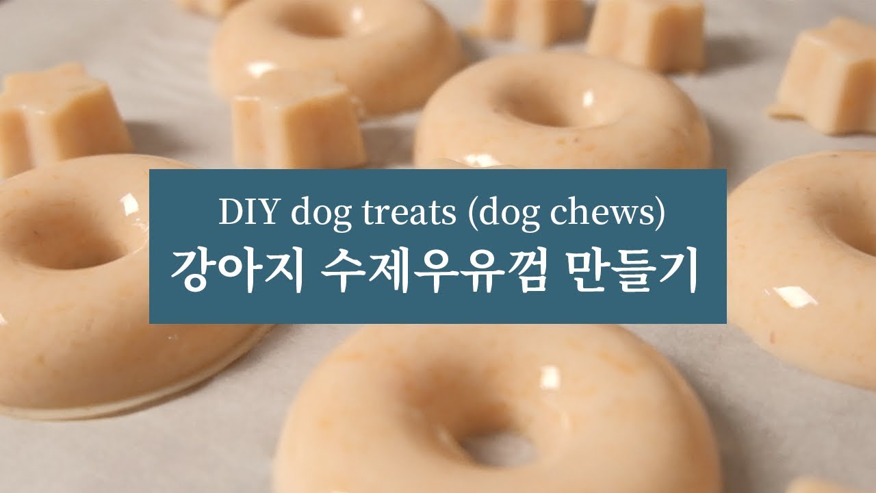 강아지 수제간식 만들기 [우유껌] & 시식회
