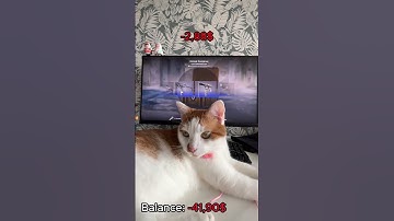 My cat open cases # #cs2 #cs2stream #gaming #cs2clips #cat #cs2live #gamer #opencase #csgo