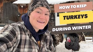 Turkey Winter Care | How to keep Turkeys during Winter Brooding Turkeys Winter