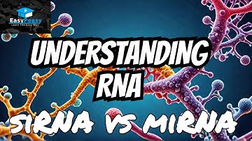siRNA vs miRNA – What’s the Difference? | RNA Interference Made Easy