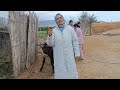 تحدي بعربة الحمار في اتجاه مختلف