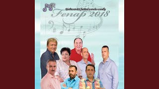 Budi Srbin makar slamu jeo