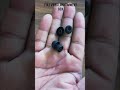 BEST GAMING TWS ONLY ₹1000⚡️PTron basspods flare #ptronbasspodsflare
