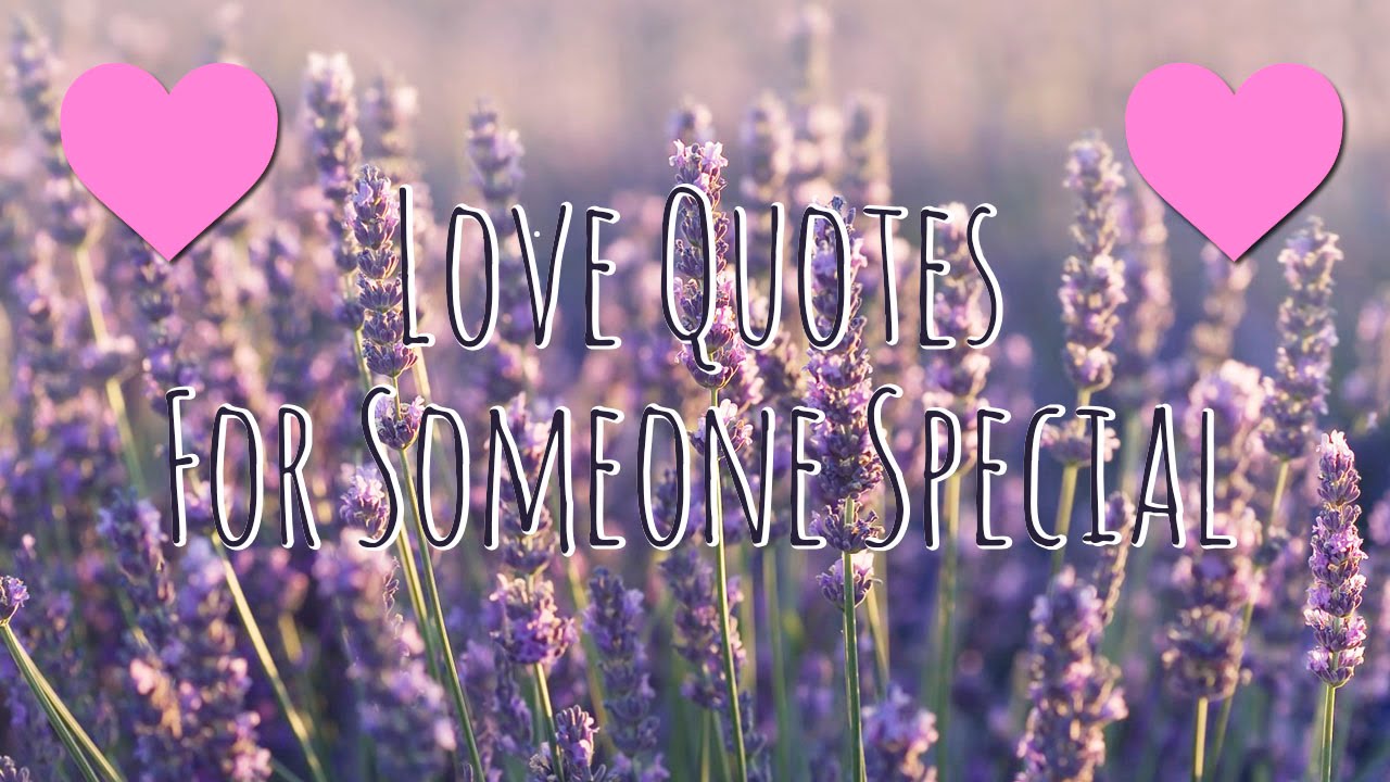 Love Quotes For Someone Special You Love