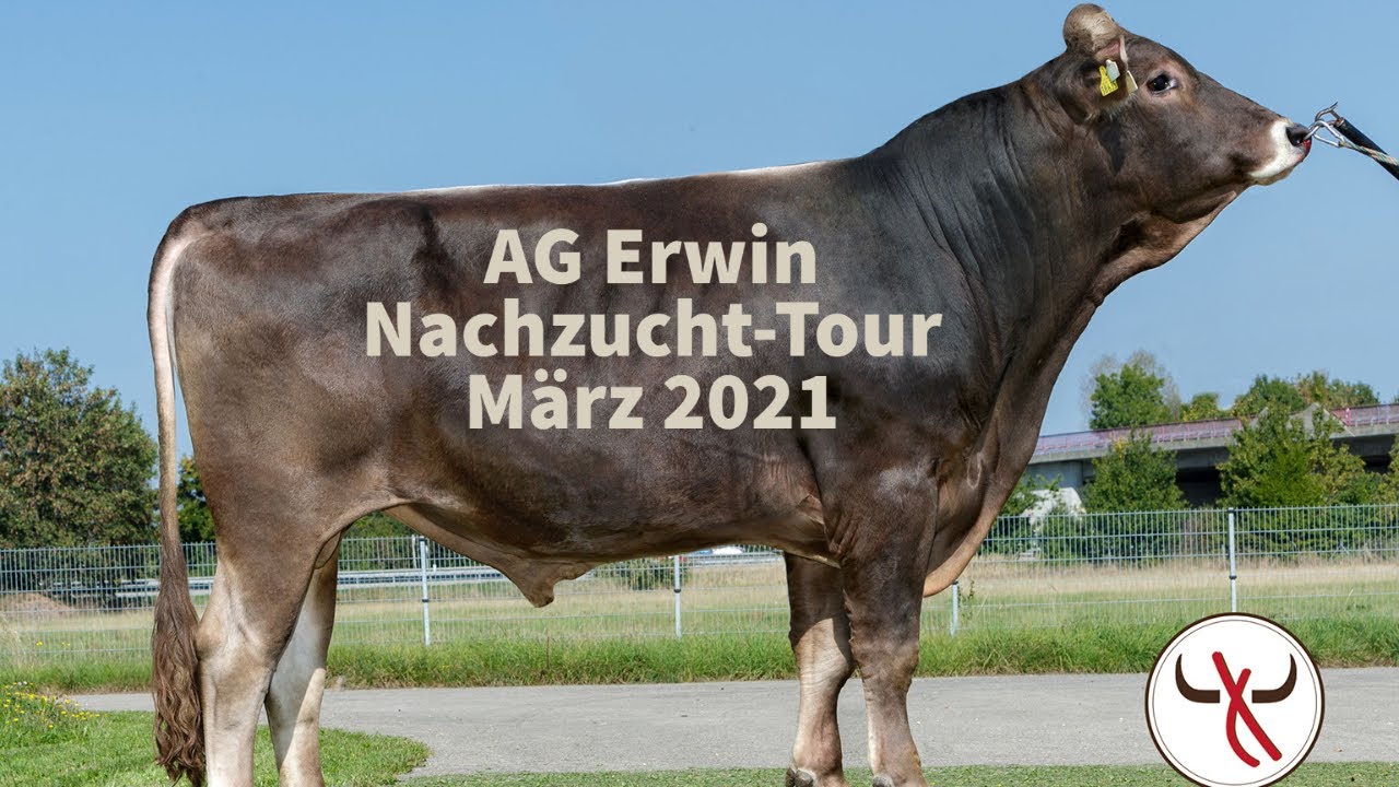 Was könnte seriöse steroide shops 2019 tun, um Sie zum Wechsel zu bewegen?