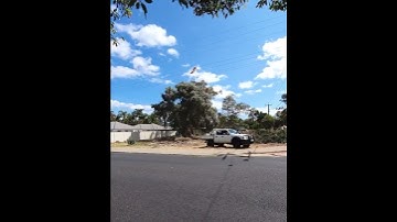 Tree Pulled Down With Trusty Ford || ViralHog