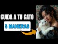 5 MANERAS DE CUIDAR A TU GATO