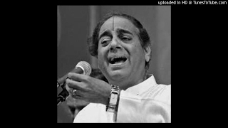 tuLasI jagajjananI duritApahAriNI-sAvEri - Thyagaraja - TN Seshagopapan