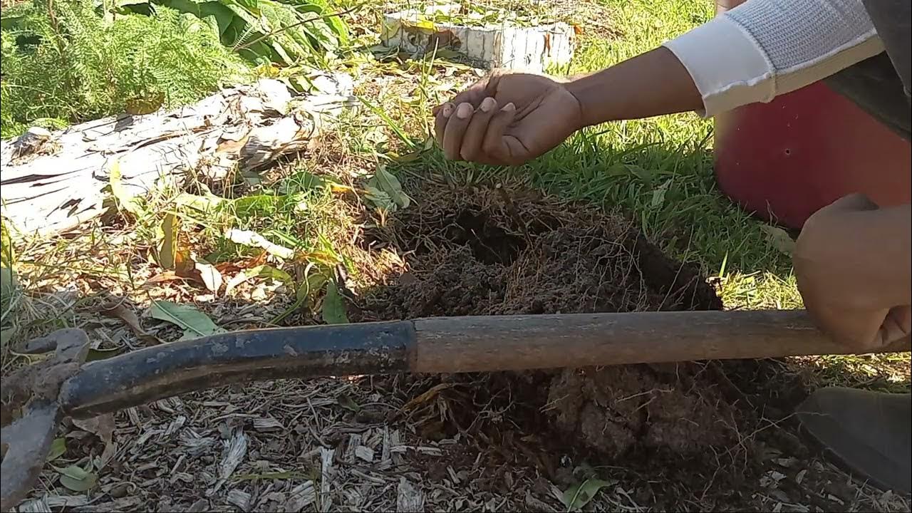 How to make worm bin outta a trashcan YouTube