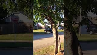 America Can't Drive: Caught Breaking The Law