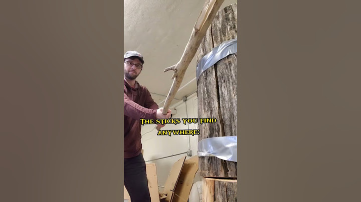 "Sticks are the best weapons" #martialarts #sword #weapon #fight #selfdefense #history #samurai