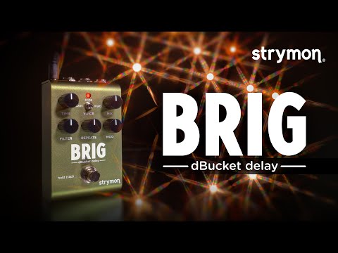 Strymon Brig dBucket Delay