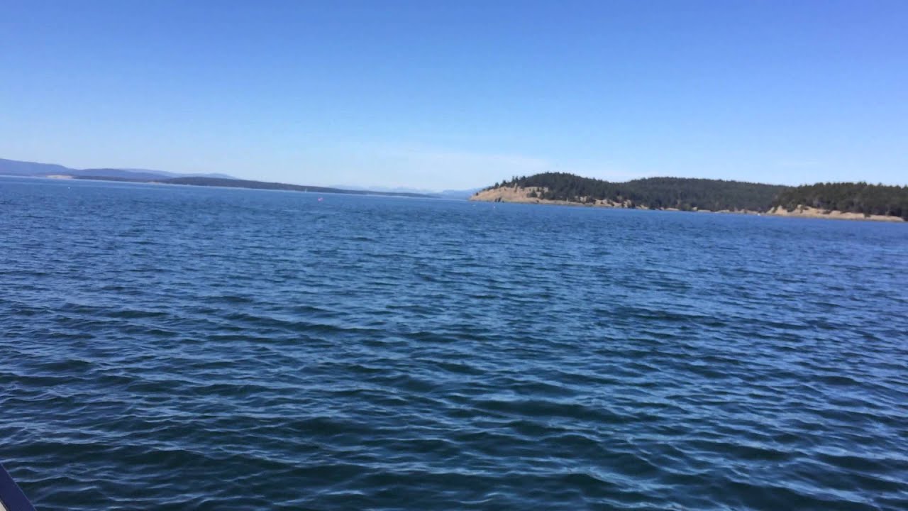 Tracking orcas with Ken Balcomb