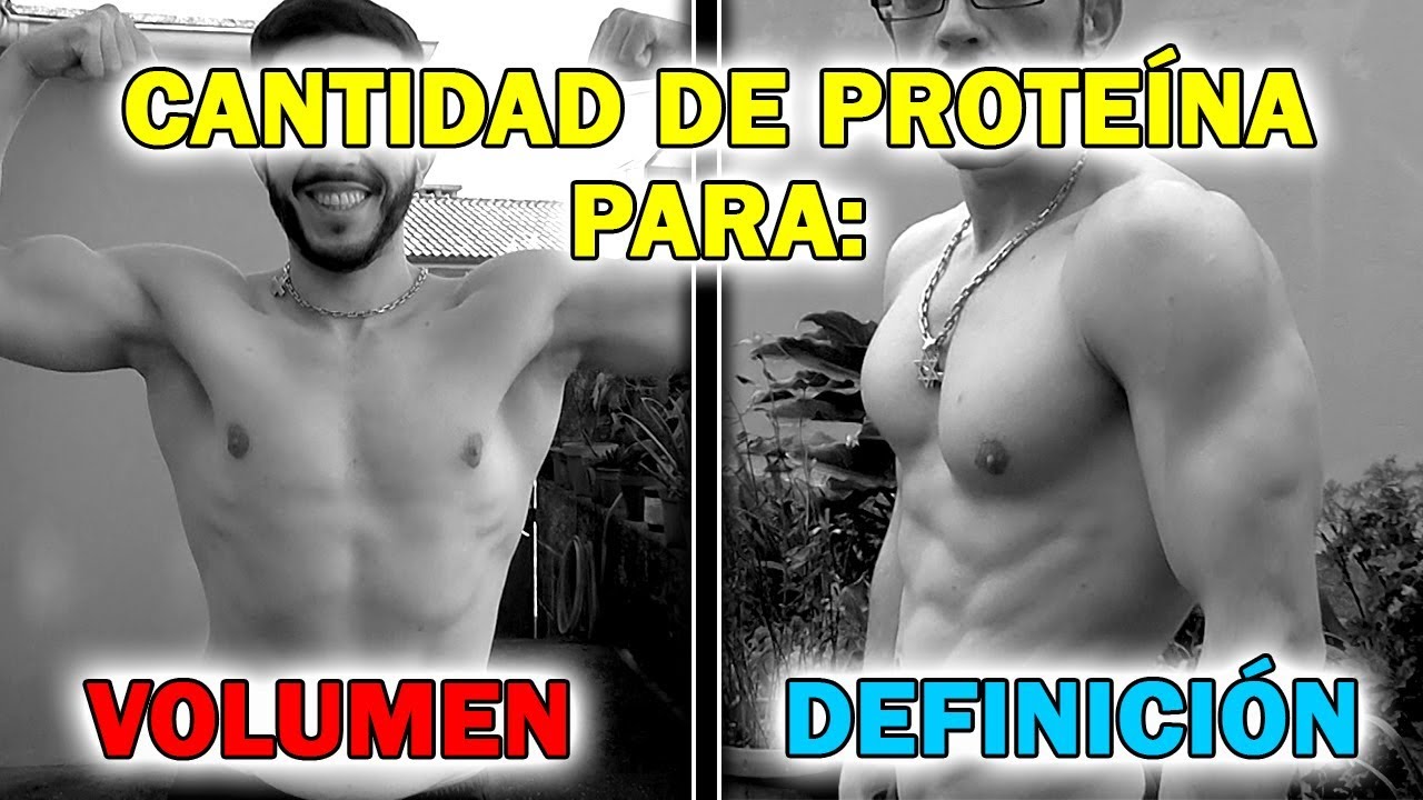 cuanta proteina se necesita al dia para aumentar masa muscular