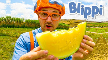 Blippi Visits Tanaka Farms | Blippi | Learning Videos For Kids | Educational Videos For Toddlers
