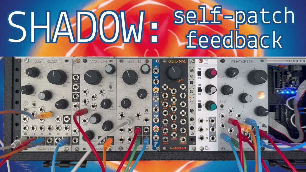 Whimsical Patching // 2. Self-Patch Feedback