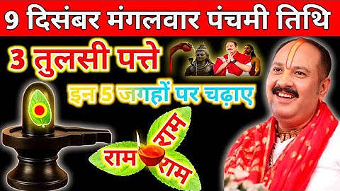 9 दिसंबर मंगलवार पंचमी तिथि को करें 3 तुलसी पत्ते वाला उपाय#pradeepmishraji #मार्गशीर्षमास #upay #om