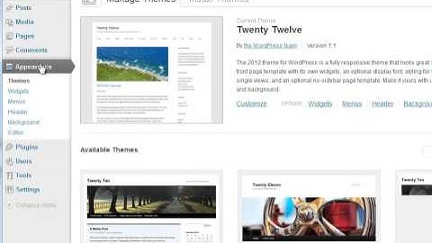 4 Changing Settings, Appearance And Widgets (WordPress  Video Training)
