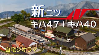 【自宅ジオラマ】JR東日本 新津運輸区 キハ47＋キハ40【Nゲージ】