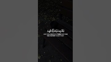 تلاوة خاشعة تهز القلوب بصوت جميل يريح النفس 💖📿