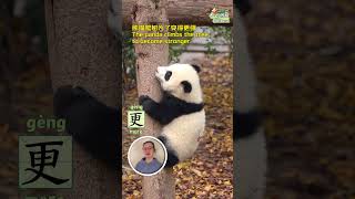 【5-Second Chinese】Learn “More/更” In Chinese With Pandas