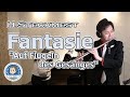 シュテックメスト 歌の翼による幻想曲 / H.Steckmest Fantaisie ''Auf Flügeln des Gesanges''