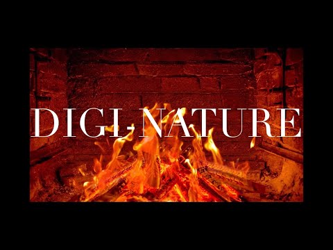 30 Minute Christmas Yule log Fireplace