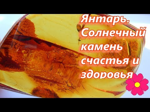 Янтарь.  Солнечный камень счастья и здоровья