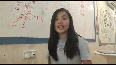 Pie chart psle question