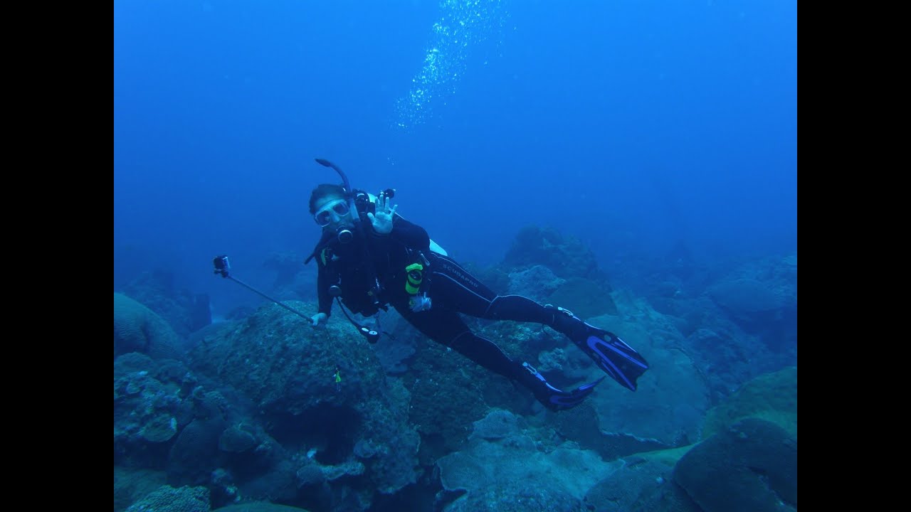 Flower Garden Banks, East Bank Dives YouTube