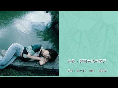 阿桑 - 野百合也有春天 🌙
