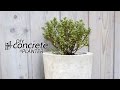 Concrete Planter | easy DIY