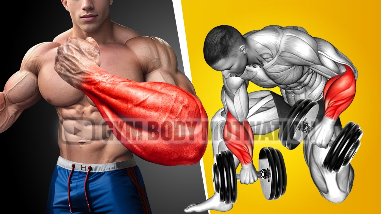 5 Best Exercises for Bigger Forearms - YouTube