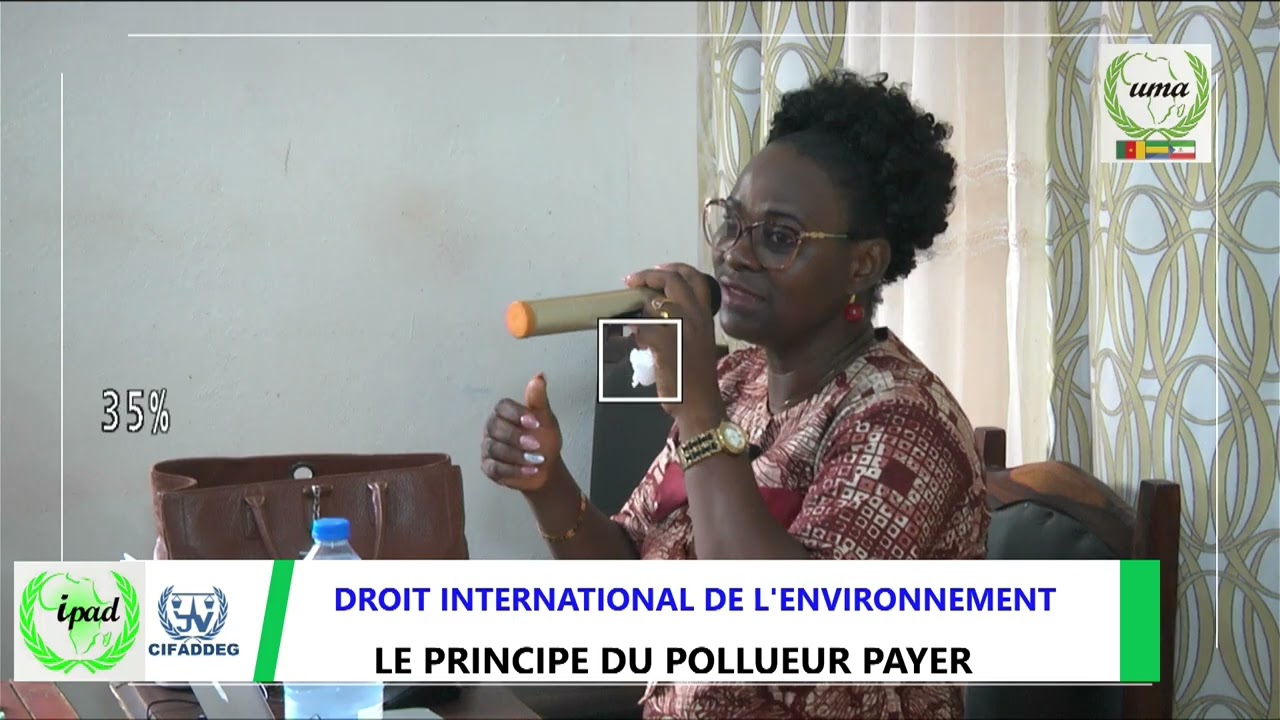 CARRIERES INTERNATIONALES ET DIPLOMATIQUES