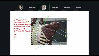 APHY 101 Final Exam Review