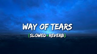 The Way of the Tears Slowed + Reverb [Lyrics] by Muhammad Al Muqit