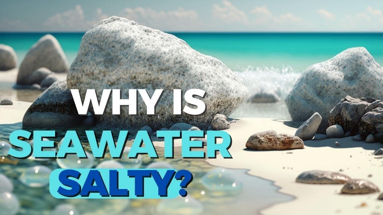 Why is Seawater Salty? The Science Behind the Phenomenon YouTube