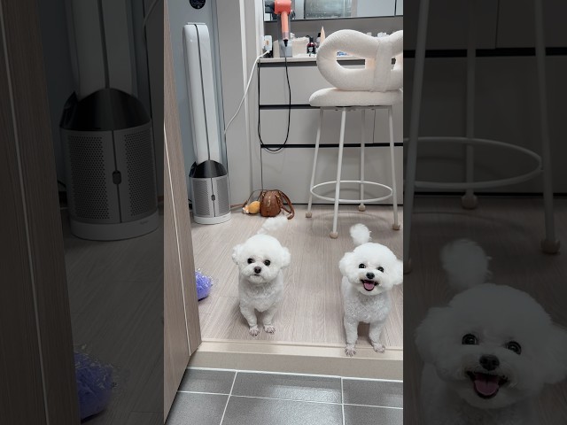 화장실좀 .. 2탄