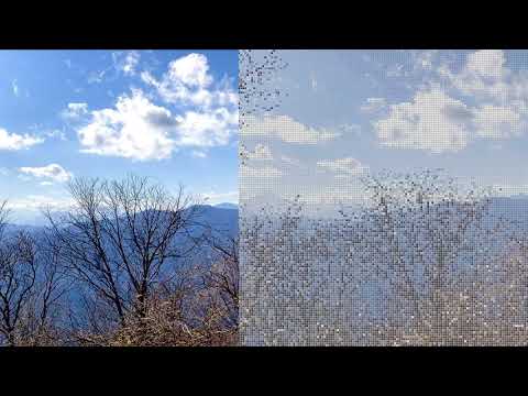 【動く】モザイクアート風動画作ってみた【Processing 】