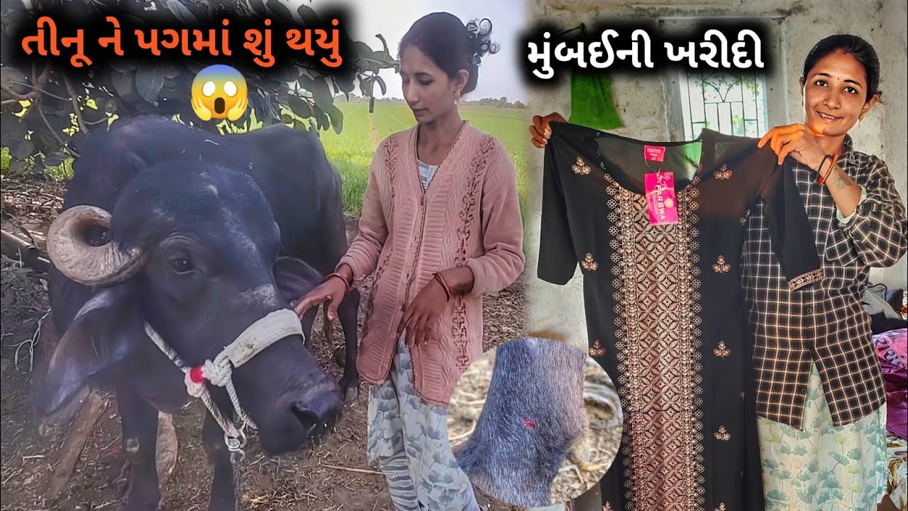 નાથી ડરીગય તીનૂ ને પગમાં શું થયું અને મુંબઈની ખરીદી || R Gujju Vlog || 